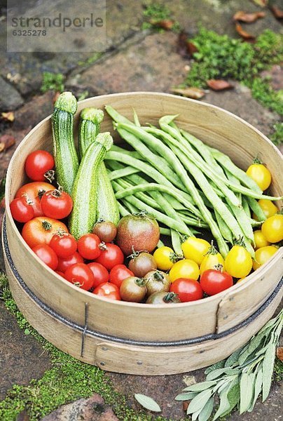 Frisches Gartengemüse im Sieb (Tomaten  Zucchini  Grüne Bohnen)