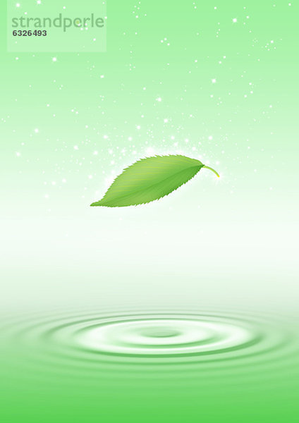 Wasser  über  Pflanzenblatt  Pflanzenblätter  Blatt  grün  fließen  gewellt  1