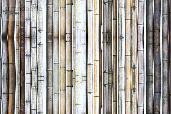 Bamboo Wall