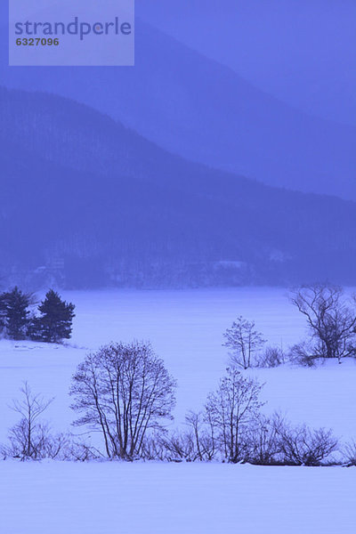 Berg  Baum  Hintergrund  nackt