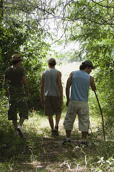 Männer beim Wandern im Wald  Rückansicht