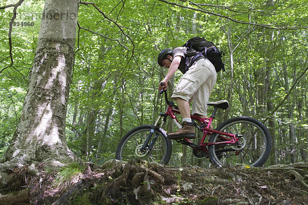 Junger Mann auf dem Mountainbike im Wald  Tiefblick