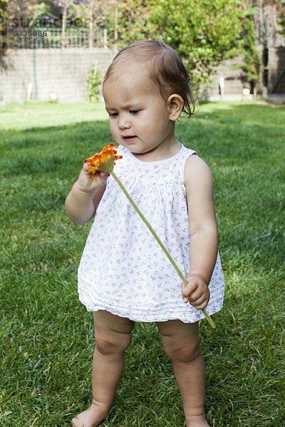 Kleines Mädchen mit Gänseblümchen