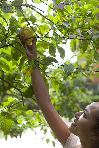 Junge Frau pflückt Früchte vom Baum