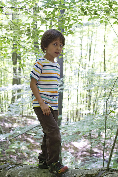 Junge im Wald