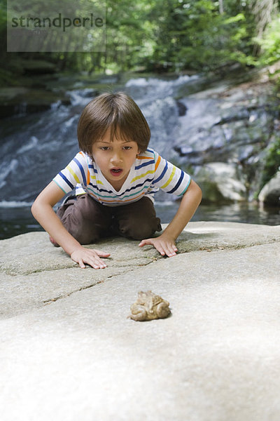 Junge kniend auf dem Felsen auf den Frosch blickend