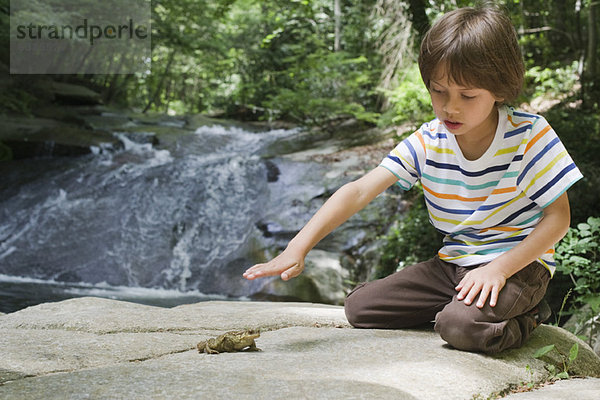 Junge kniend auf dem Felsen auf den Frosch blickend