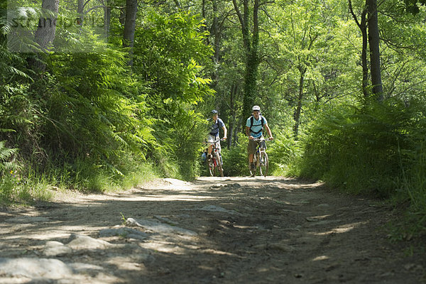Männer beim Radfahren im Wald