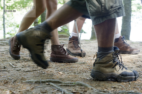 Wanderer  die im Wald wandern  niedriger Abschnitt