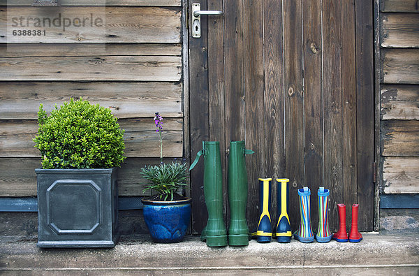 Regenstiefel und Pflanzen auf der Veranda