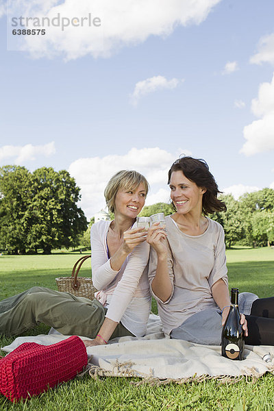 Frauen trinken Champagner beim Picknick