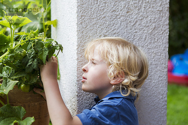 Junge untersucht Pflanzen im Freien