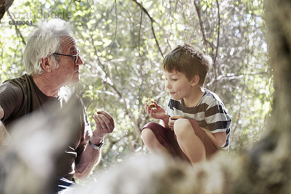 Vater und seine Söhne beim Spielen im Wald