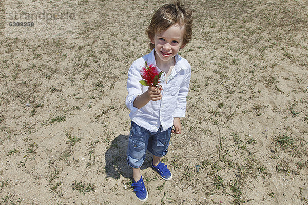 Junge mit Blume am Grasstrand
