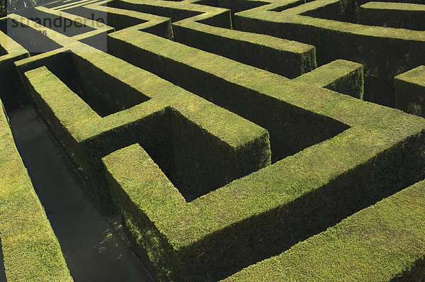 hoch oben Ansicht Flachwinkelansicht Labyrinth Winkel