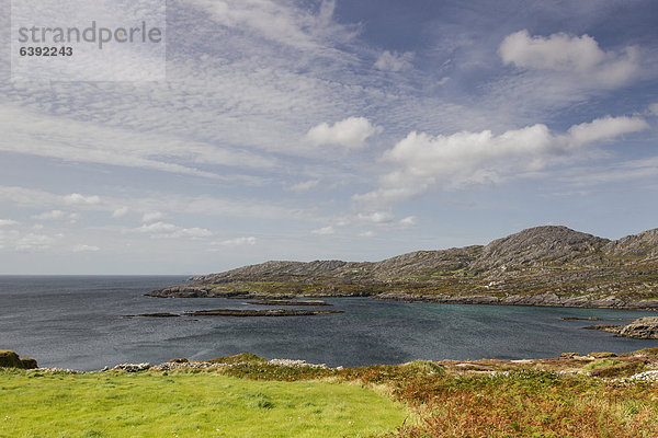 Küste an der Beara Halbinsel  Cork  Irland  Europa