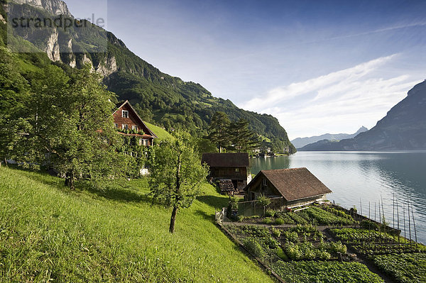 Europa Schweiz Vierwaldstättersee Kanton Uri