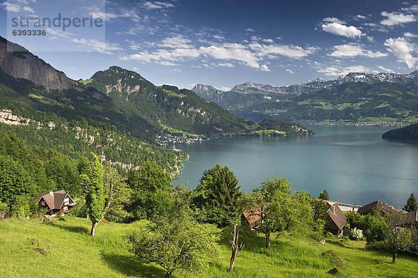 Europa Ansicht Schweiz Vierwaldstättersee Kanton Luzern