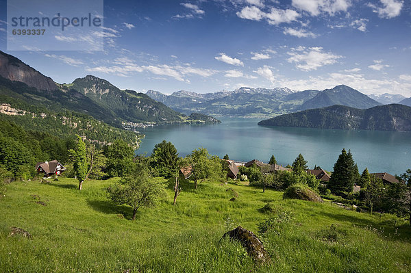 Europa Ansicht Schweiz Vierwaldstättersee Kanton Luzern