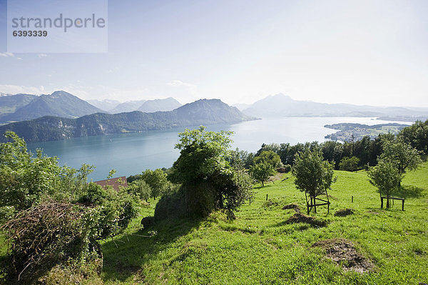 Europa Ansicht Schweiz Vierwaldstättersee Kanton Luzern