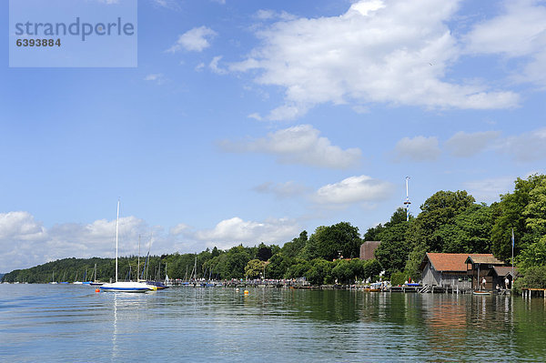 Ostufer Starnberger See  Ammerland  Oberbayern  Bayern  Deutschland  Europa