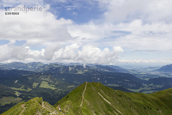 Berggrat des Fellhorn  Allgäu  Bayern  Deutschland  Europa