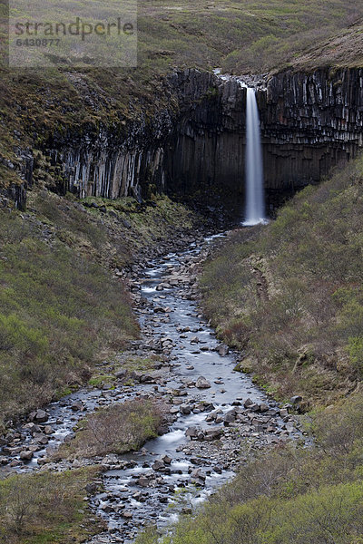 Wasserfall Svatifoss  Skaftafell-Nationalpark  Ostisland  Island  Europa