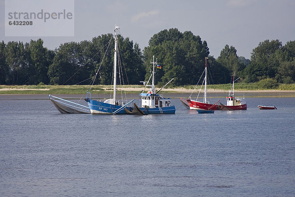 Krabbenkutter auf der Elbe  bei Hamburg  Deutschland  Europa
