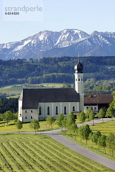 Wallfahrtskirche St. Marinus und Anian in Wilparting  Gemeinde Irschenberg  Mangfallgebirge  Oberland  Oberbayern  Bayern  Deutschland  Europa  ÖffentlicherGrund