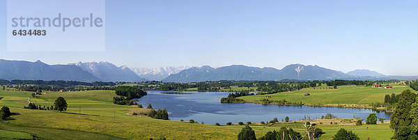 Blick von der Aidlinger Höhe auf Riegsee und Alpenkette  Blaues Land  Pfaffenwinkel  Oberbayern  Bayern  Deutschland  Europa