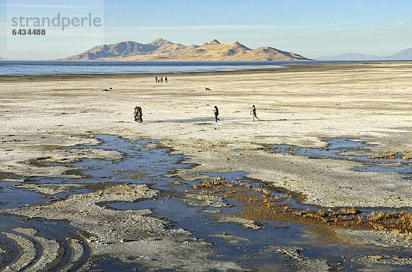 Strandwanderer in der Uferregion des Great Salt Lake  Salt Lake City  Utah  USA