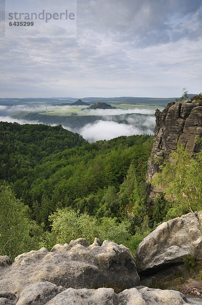 Blick auf das Elbtal vom Malerweg aus gesehen  Sächsische Schweiz  Elbsandsteingebirge  Sachsen  Deutschland  Europa