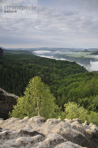 Blick auf das Elbtal vom Malerweg aus gesehen  Sächsische Schweiz  Elbsandsteingebirge  Sachsen  Deutschland  Europa