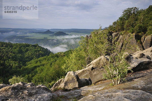 Blick auf das Elbtal vom Malerweg aus gesehen  Sächsische Schweiz  Elbsandsteingebirge  Sachsen  Deutschland  Europa