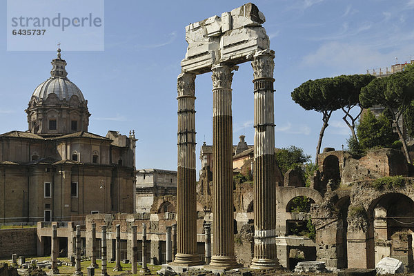 Forum Romanum  Rom  Italien  Europa