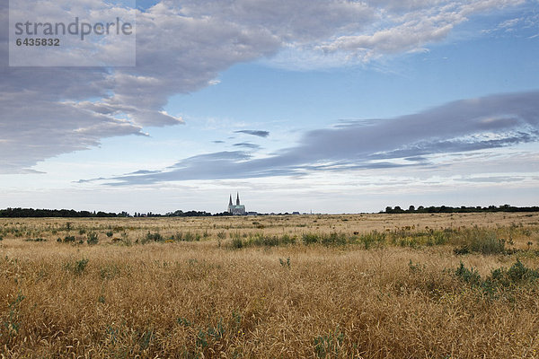 Blick auf die Kathedrale Chartres  von Osten  morgens  Chartres  Region Ile de France  Frankreich  Europa