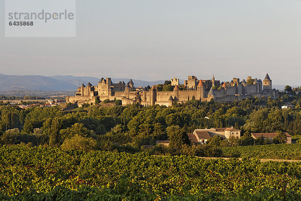 Carcassonne im Abendlicht  Region Languedoc-Roussillion  DÈpartement Aude  Frankreich  Europa