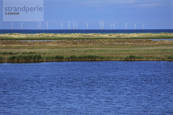 Windturbine Windrad Windräder Naturschutzgebiet Europa Küste Meer frontal Urlaub vor der Küste Baltikum Deutschland Meeresarm Prerow Mecklenburg-Vorpommern