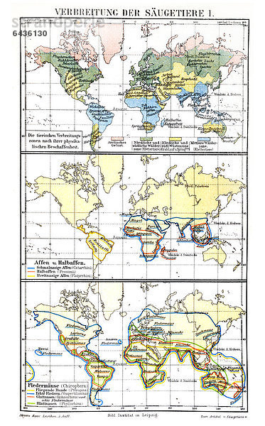 Karte  Verbreitung der Säugetiere I  historische Abbildung  Meyers Konversationslexikon  1897