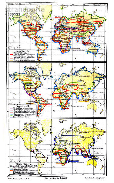 Karte  Verbreitung der Säugetiere II  historische Abbildung  Meyers Konversationslexikon  1897