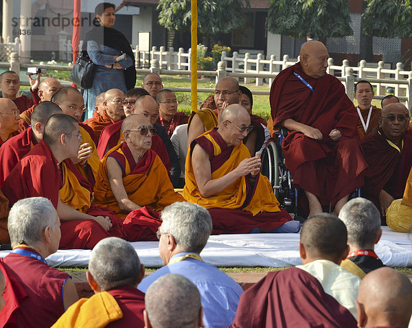 Dalai Lama und andere höchste Würdenträger wie Karmapa  Sogyal Rinpoche  mit buddhistischen Oberhäuptern aus aller Welt beim gemeinsamen Gebet  Global Buddhist Congregation 2011  am Gandhi Smitri  Neu Delhi  Indien  Asien