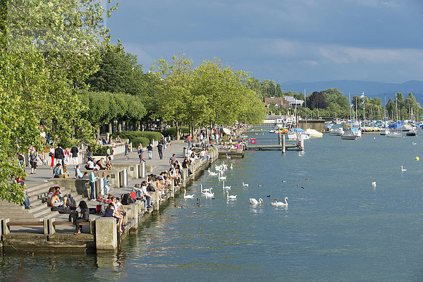 Zürichsee  Utoquai  Zürich  Schweiz  Europa