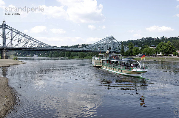 Passagierschiff  Loschwitzer Brücke Blaues Wunder  Elbe  Dresden  Sachsen  Deutschland  Europa