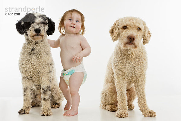 Ein kleines Mädchen mit zwei Hunden