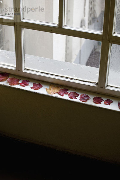 Herbstblätter auf einer Fensterbank