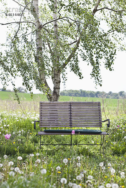 Eine Holzbank in einem Feld