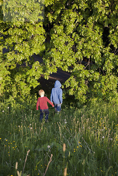Zwei Jungen  die in einen Wald gehen.