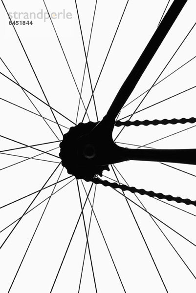 Detail eines Fahrradrades  hinterleuchtet  Studioaufnahme