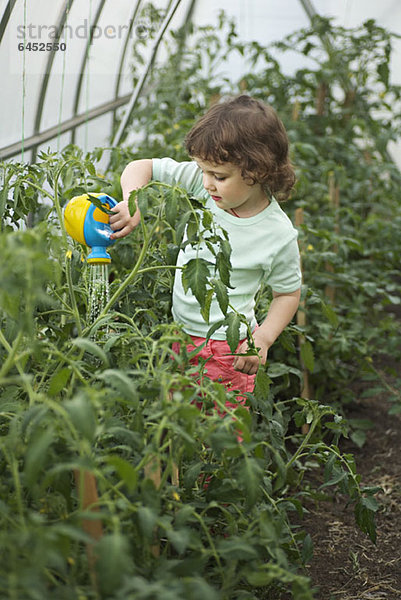 Ein junges Mädchen gießt Pflanzen in einem Gewächshaus.