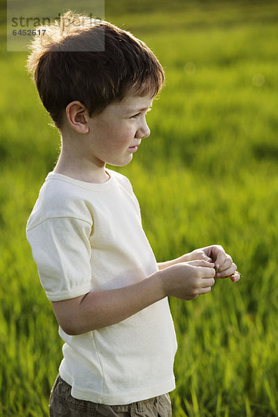 Ein kleiner Junge  der auf einem Feld steht.